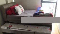 Tropika East (D14), Condominium #501502771